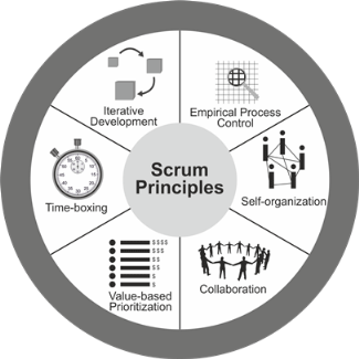 Scrum principles